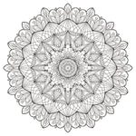 B00000009595367.jpg
