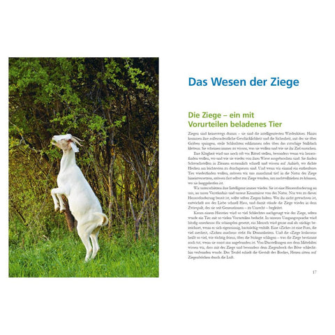 Alles für die Ziege