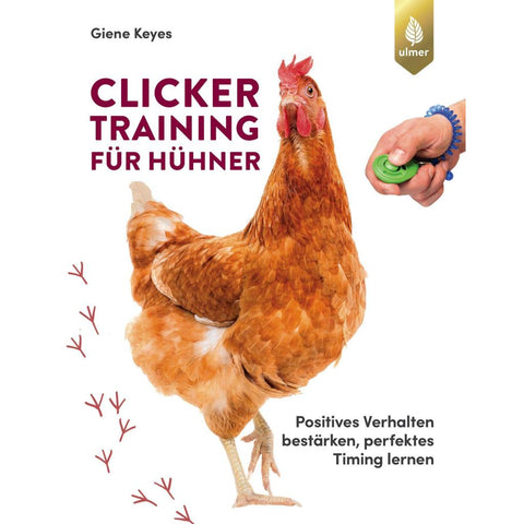Clickertraining für Hühner