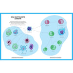 B00000009799529.jpg