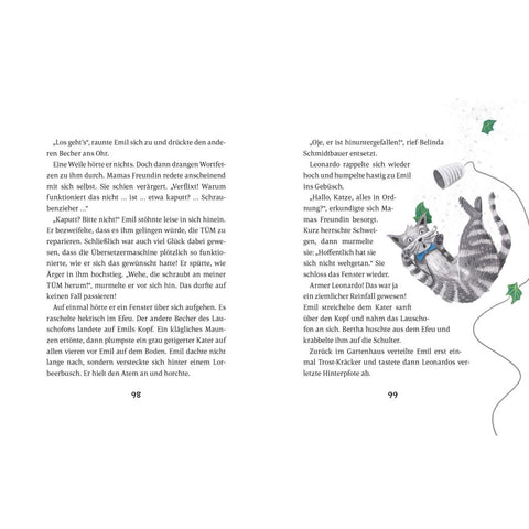 Emil Einstein (Bd. 6)