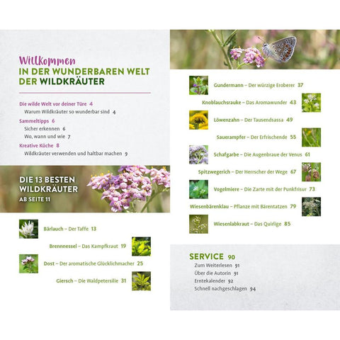 Wild und wunderbar: die 13 besten Wildkräuter