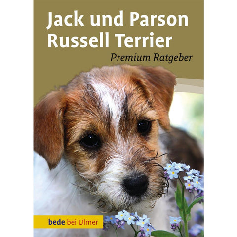 Jack und Parson Russell Terrier