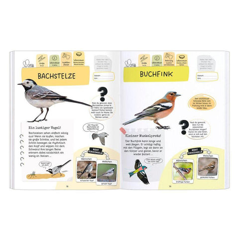 Expedition Natur Rätseln, Stickern, Bestimmen - Vögel