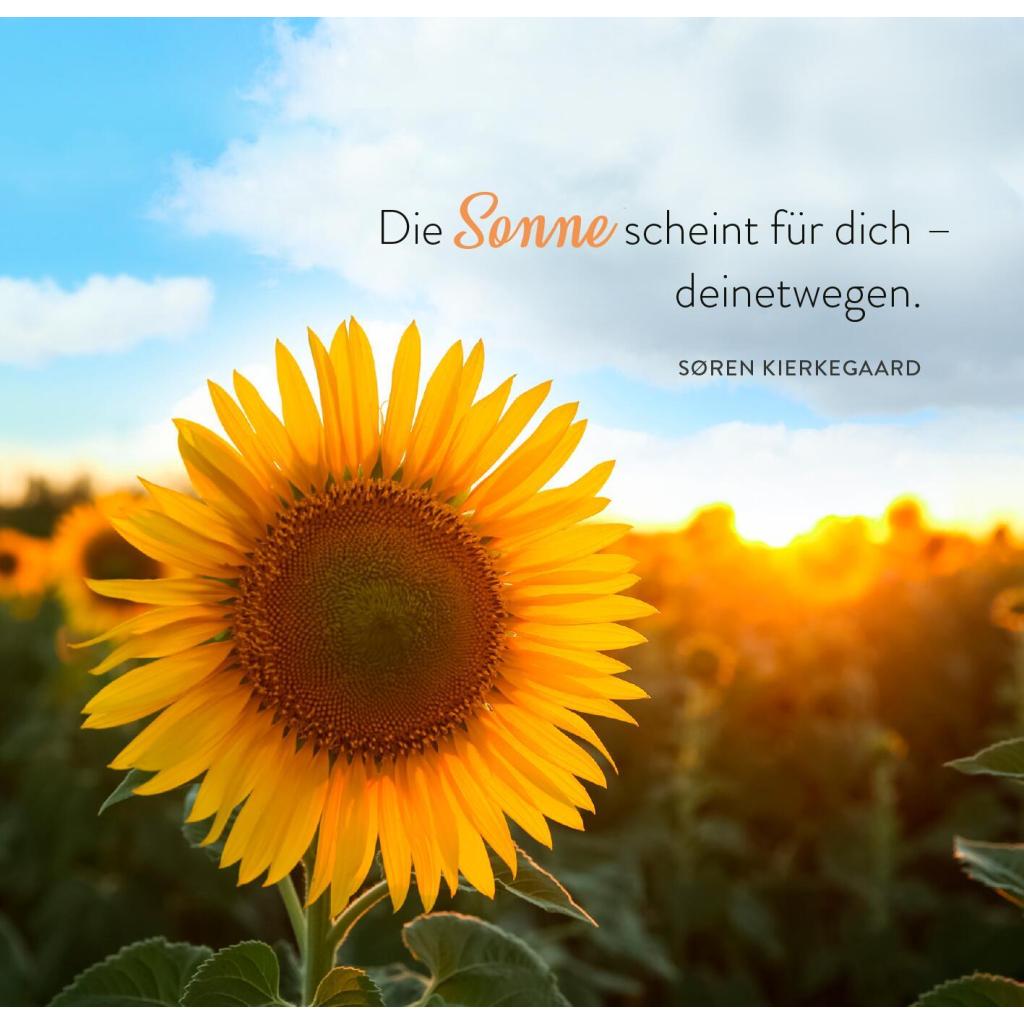 B00000009927063.jpg