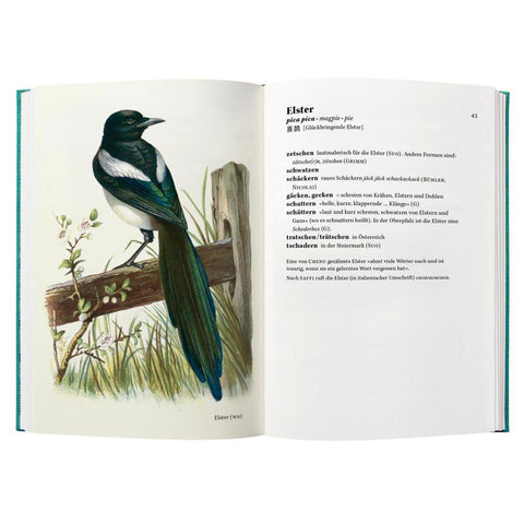 Singt der Vogel, ruft er oder schlägt er?