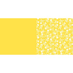 B00000010008433.jpg