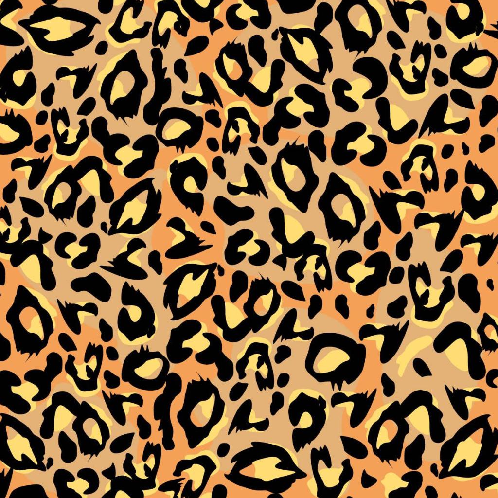 B00000010199462.jpg