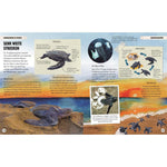 B00000010369039.jpg