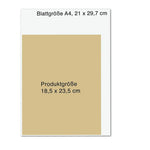 B00000010482551.jpg