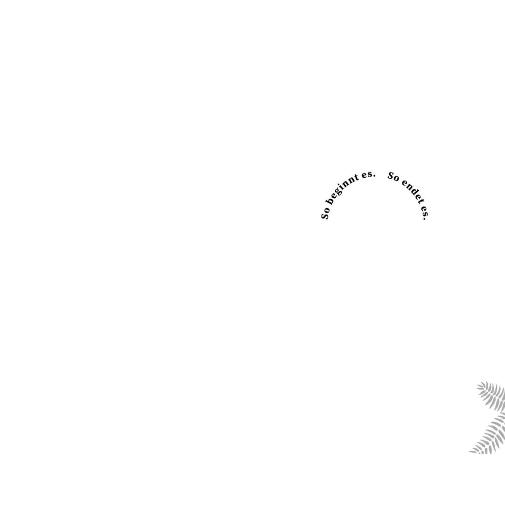 B00000010657566.jpg