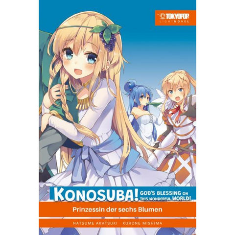 Konosuba! God's Blessing On This Wonderful World! Light Novel 06