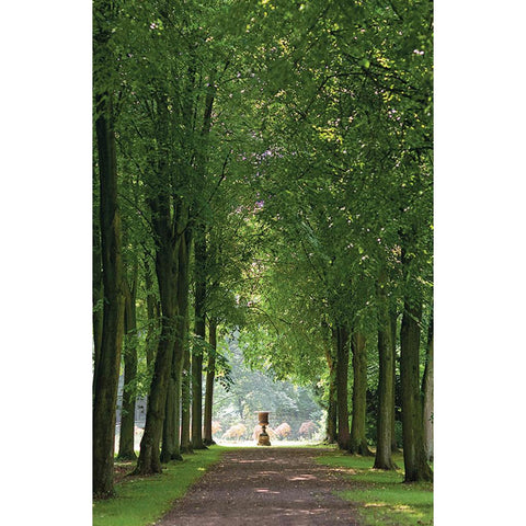 In einem fremden Park