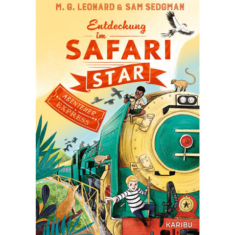 Abenteuer-Express (Band 3) - Entdeckung im Safari Star