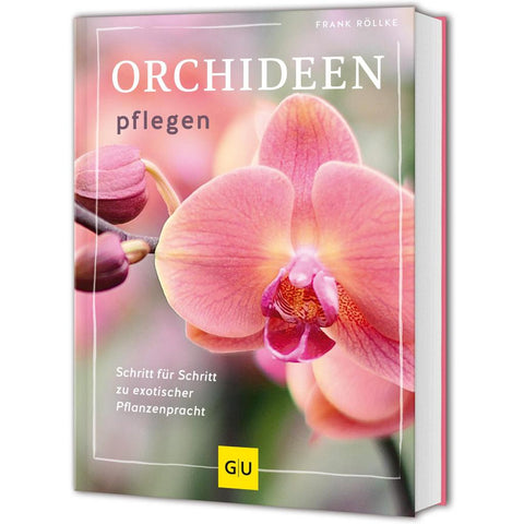 Orchideen pflegen