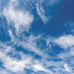 B00000013177242.jpg