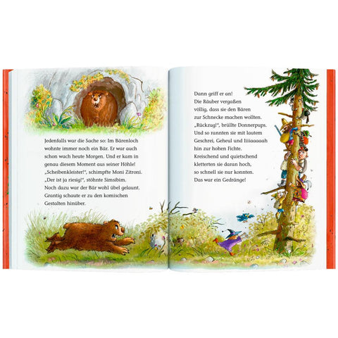 Der wilde Räuber Donnerpups (Leseanfänger, Bd. 1)