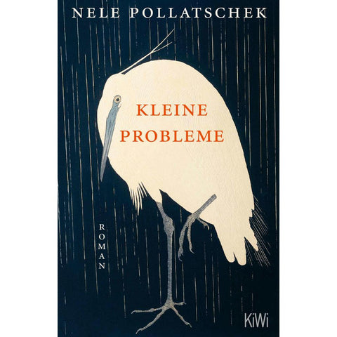 Kleine Probleme