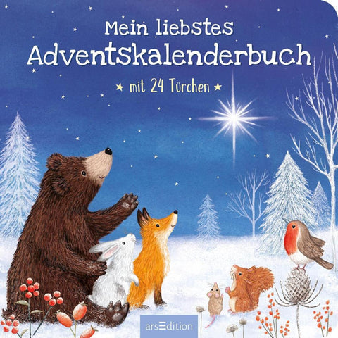 Mein liebstes Adventskalenderbuch
