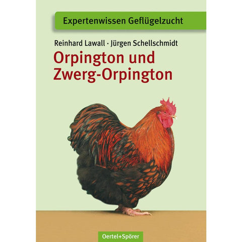 Orpington und Zwerg-Orpington