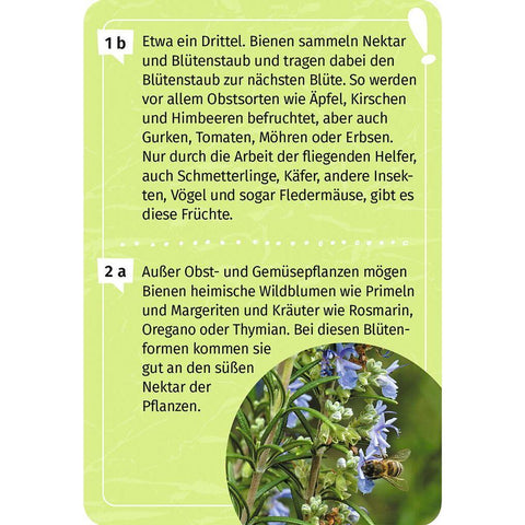 Mein Garten-Forscherquiz