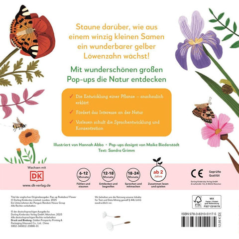 Mein Pop-up-Buch zum Staunen. Wo kommst du her, kleiner Löwenzahn?