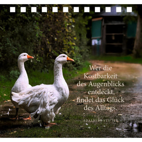 Komm zur Ruhe, finde neue Kraft