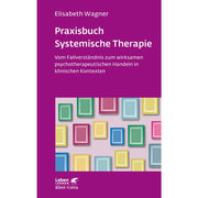 Praxisbuch Systemische Therapie (Leben Lernen, Bd. 313)