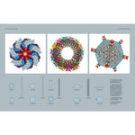 B00000013667262.jpg