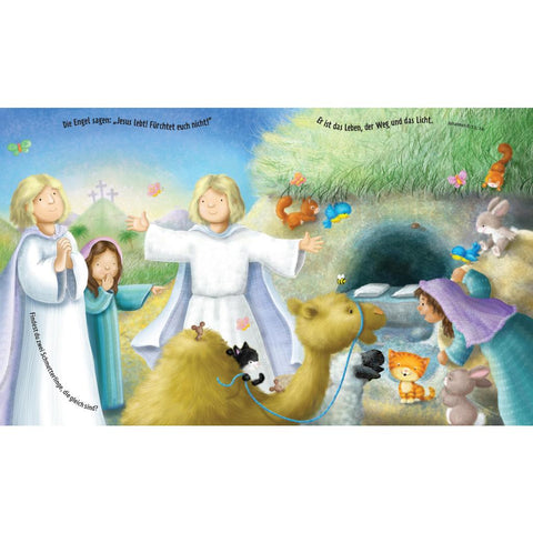 Mein Such-Bibel-Buch