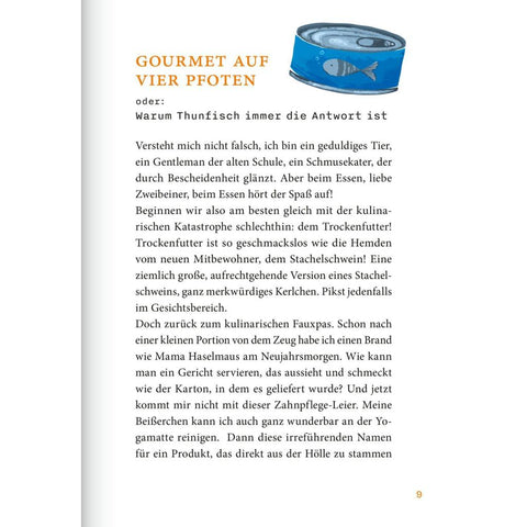 Miezverständnisse - Geschichten von der Fensterbank