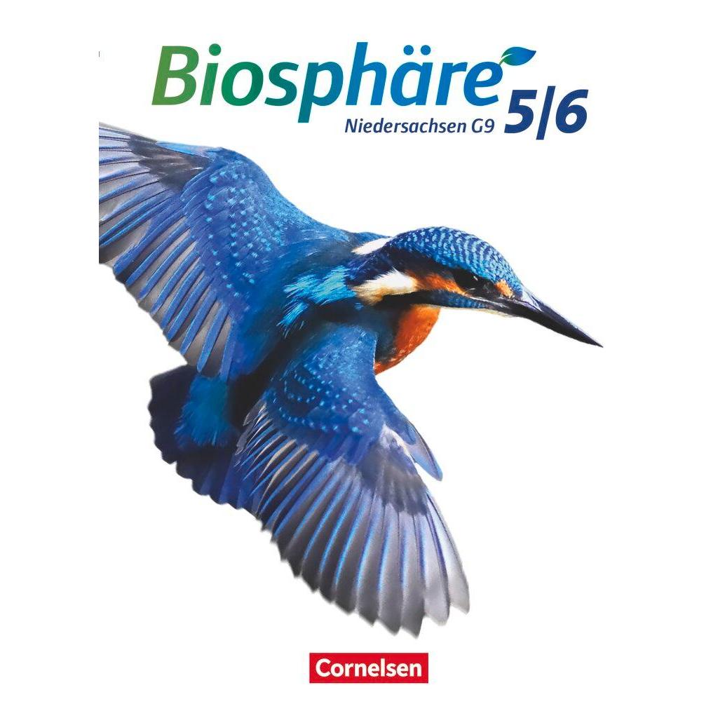 B00000014281377.jpg