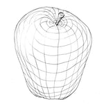 B00000016553719.jpg