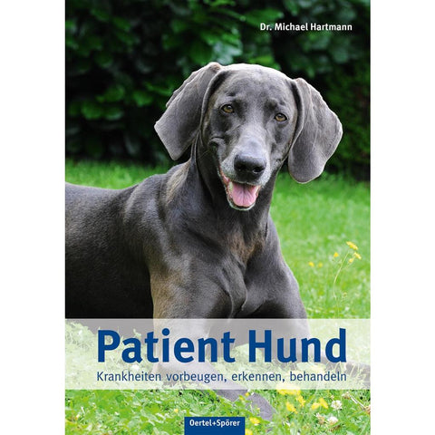 Patient Hund