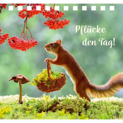 Einfach gute Wünsche