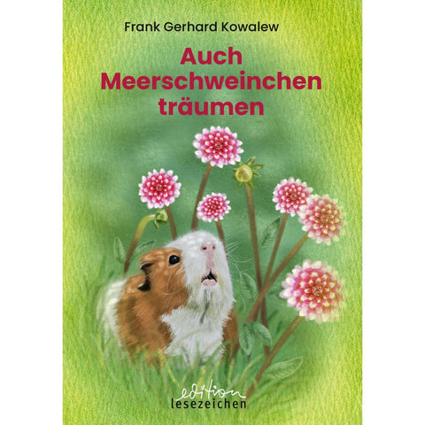 Auch Meerschweinchen träumen