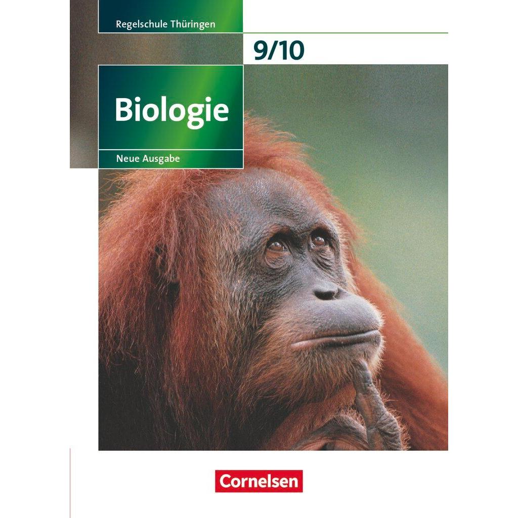 B00000020195527.jpg