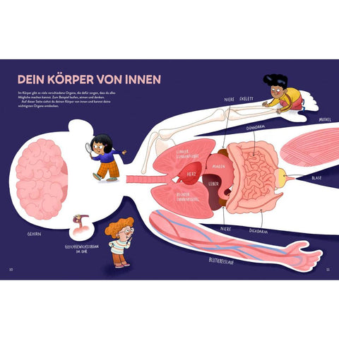 Von Kopf bis Fuß erstaunlich - Spannende Fakten über deinen Körper
