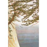 B00000021700409.jpg