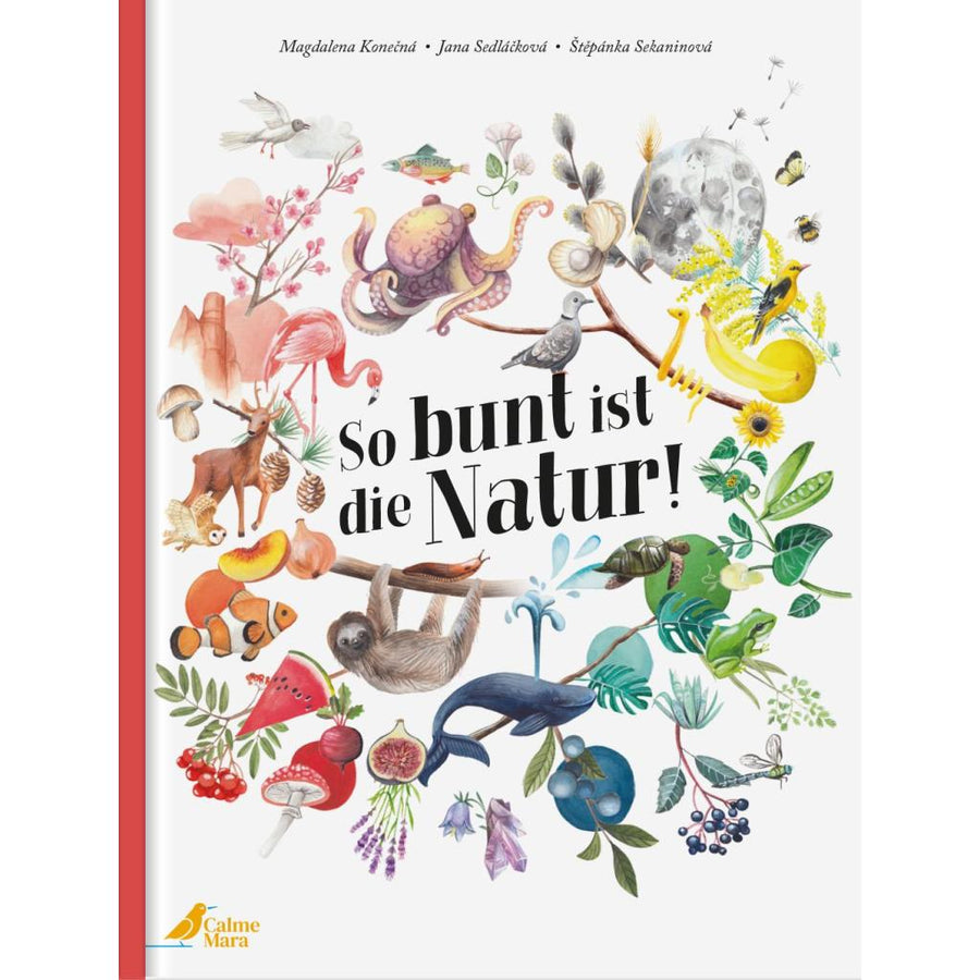 B00000021874835.jpg