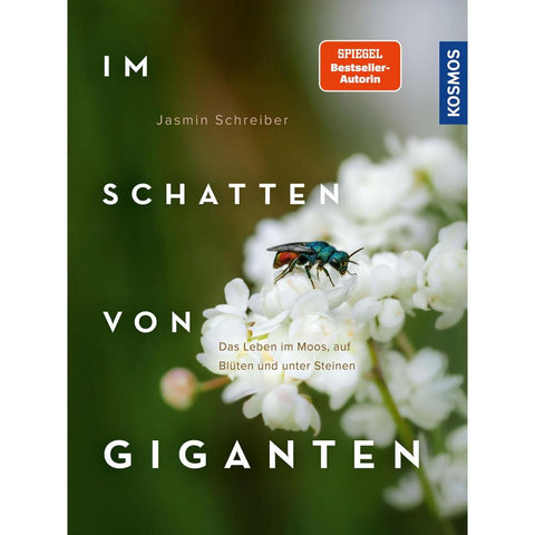 Im Schatten von Giganten