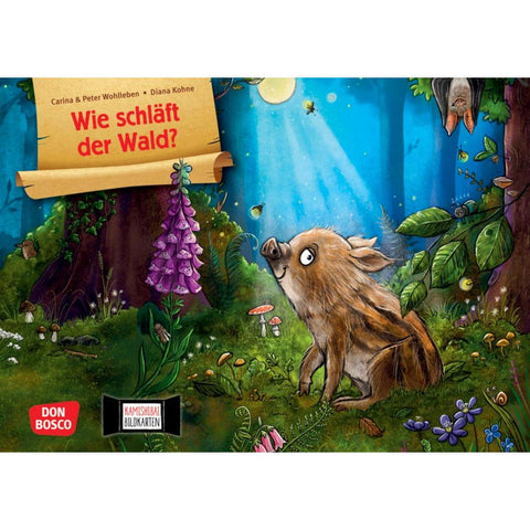 Wie schläft der Wald? Kamishibai Bildkartenset