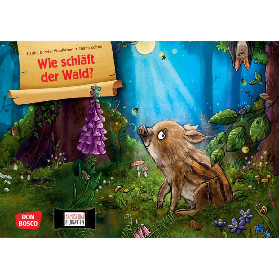 B00000021916300.jpg