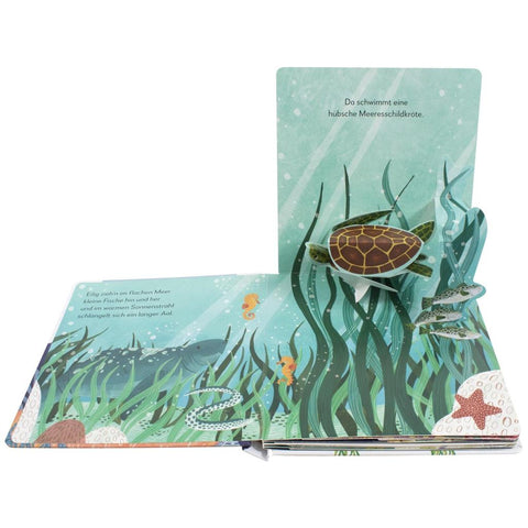 Mein Pop-up-Buch zum Staunen. Wer lebt im  Meer?