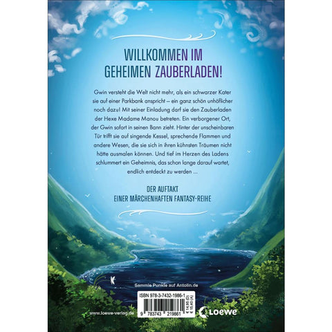 Gwin und das Herz des Drachen (Band 1)