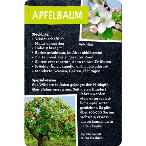 50 Bäume kennen & erleben