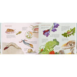 B00000024544588.jpg