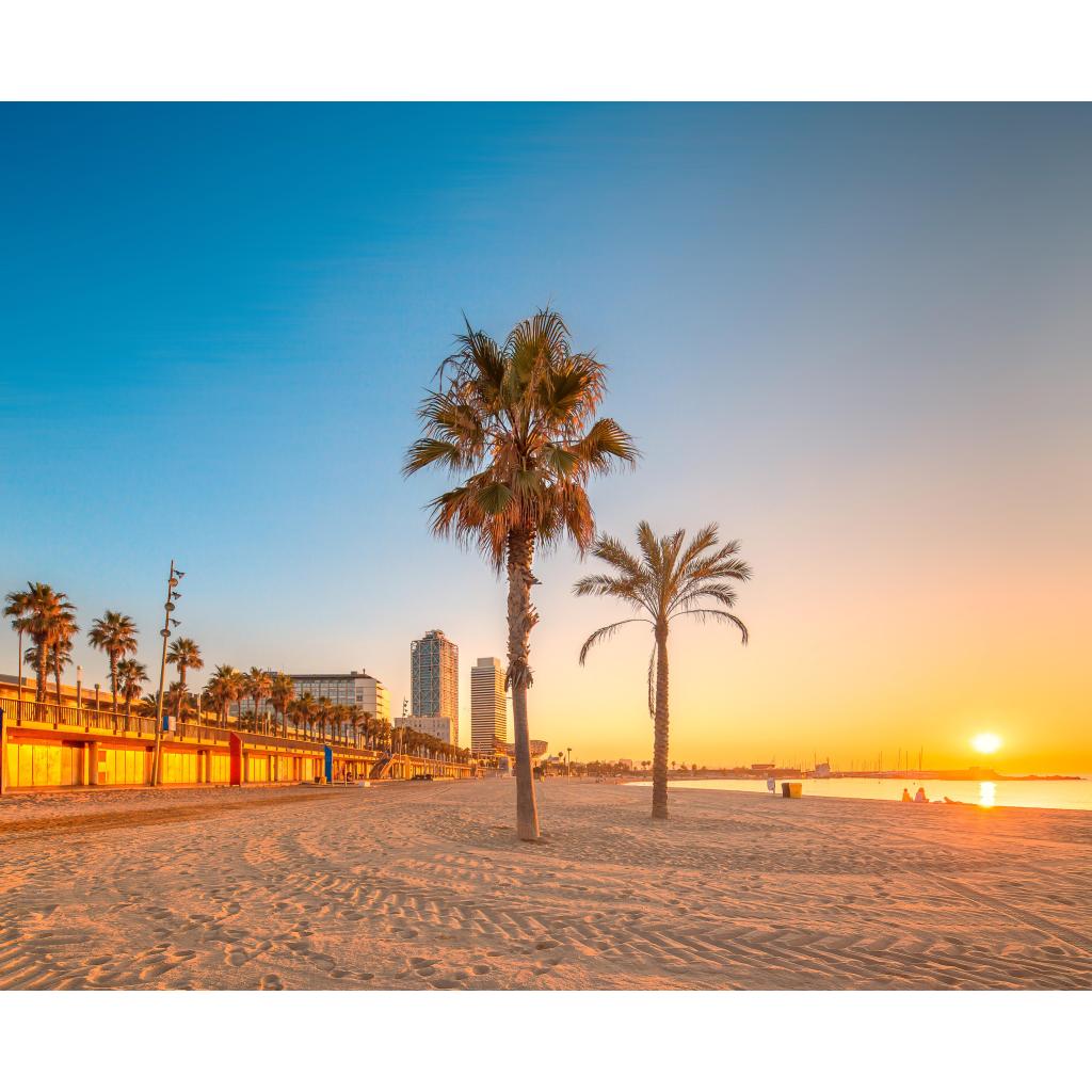 B00000025304198.jpg