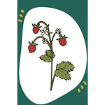 B00000025349231.jpg
