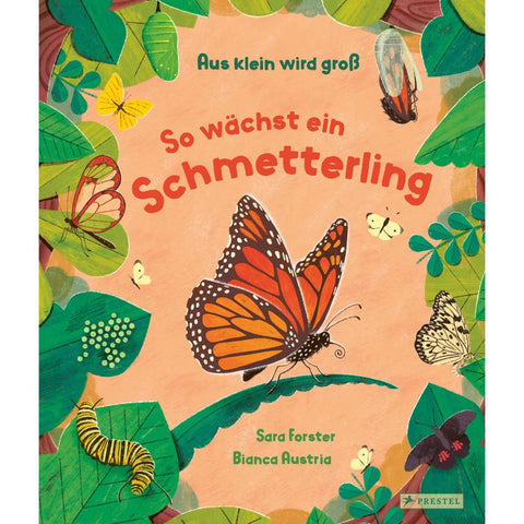 Aus klein wird groß. So wächst ein Schmetterling